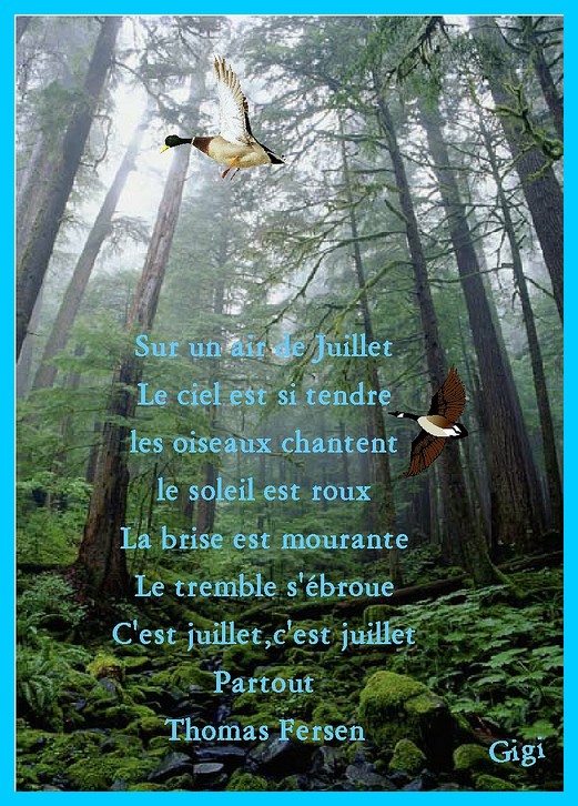 Image h�berg�e par Casimages.com : votre h�bergeur d images simple et gratuit