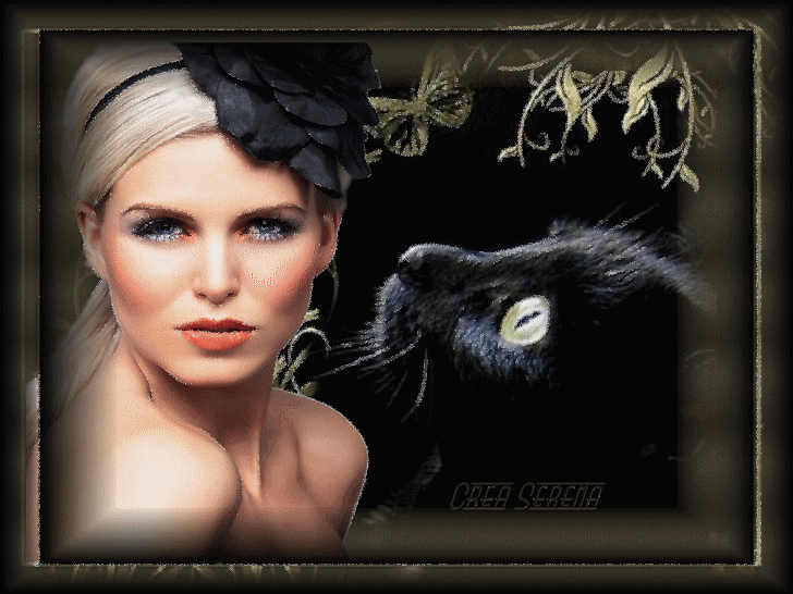 Image h�berg�e par Casimages.com : votre h�bergeur d images simple et gratuit