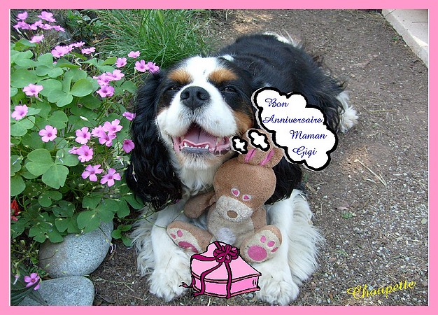 Image h�berg�e par Casimages.com : votre h�bergeur d images simple et gratuit