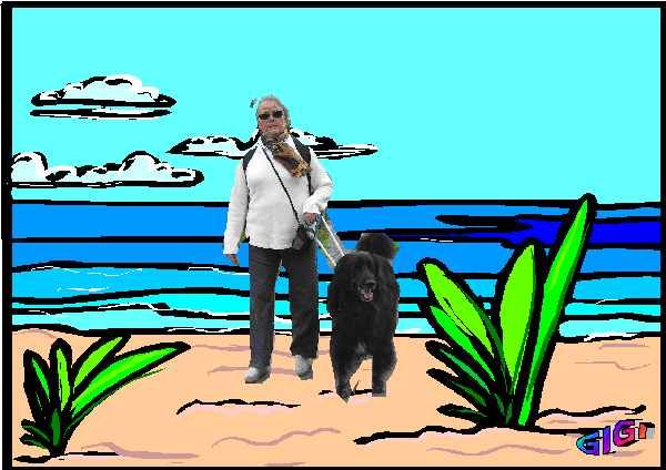 Image hébergée par Casimages.com : votre hébergeur d images simple et gratuit