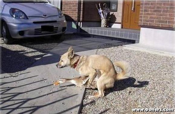 http://nsm03.casimages.com/img/2010/07/08//100708014416936026366943.jpg