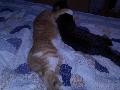 http://nsm03.casimages.com/img/2010/07/10//mini_1007100746001122566380551.jpg
