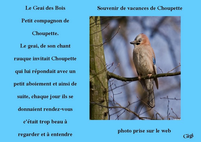 Image h�berg�e par Casimages.com : votre h�bergeur d images simple et gratuit