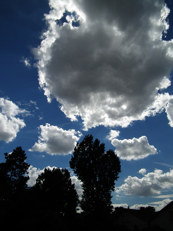 http://nsm03.casimages.com/img/2010/07/13//100713112245814596398152.jpg