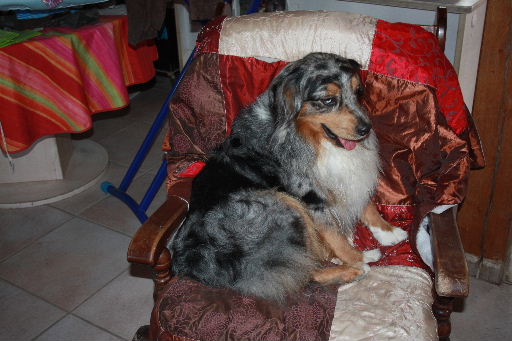 Image h�berg�e par Casimages.com : votre h�bergeur d images simple et gratuit