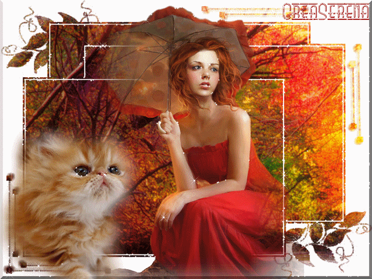 Image h�berg�e par Casimages.com : votre h�bergeur d images simple et gratuit