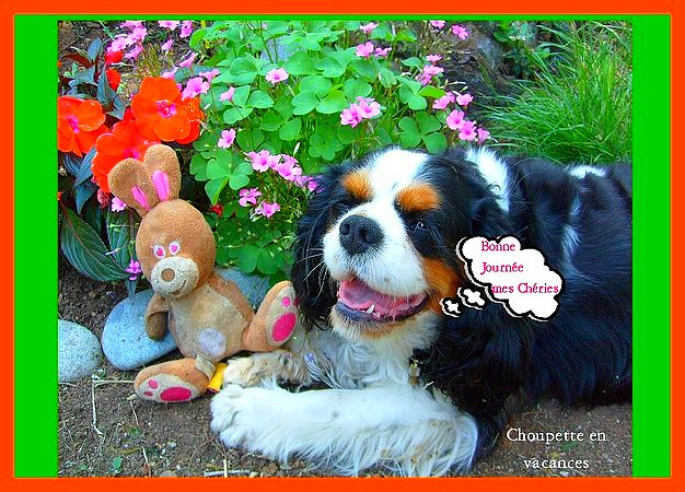 Image h�berg�e par Casimages.com : votre h�bergeur d images simple et gratuit