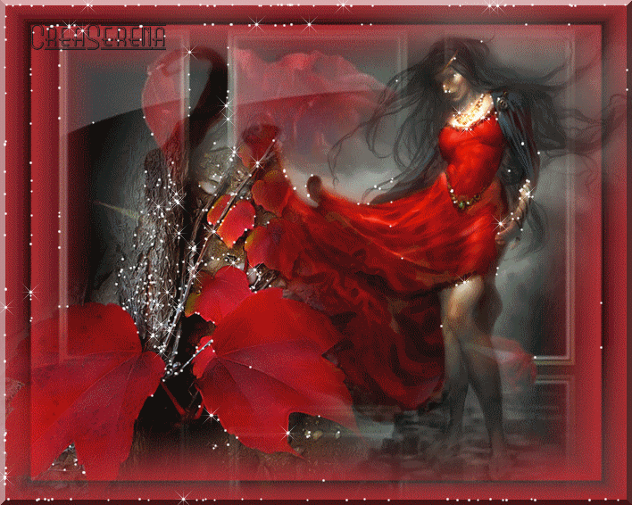 Image h�berg�e par Casimages.com : votre h�bergeur d images simple et gratuit