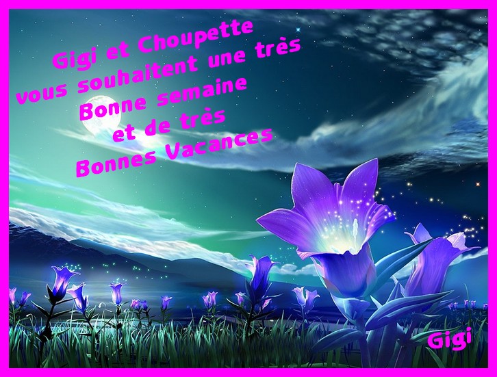 Image h�berg�e par Casimages.com : votre h�bergeur d images simple et gratuit