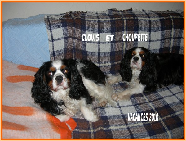 Image h�berg�e par Casimages.com : votre h�bergeur d images simple et gratuit