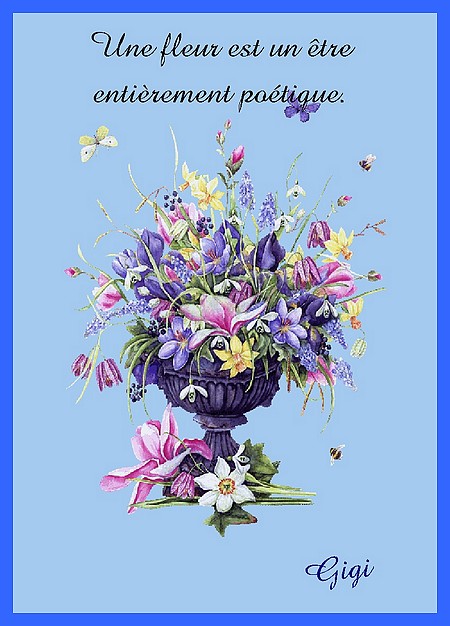 Image h�berg�e par Casimages.com : votre h�bergeur d images simple et gratuit