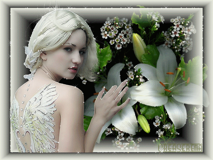 Image h�berg�e par Casimages.com : votre h�bergeur d images simple et gratuit