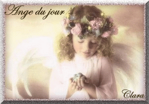 Image h�berg�e par Casimages.com : votre h�bergeur d images simple et gratuit