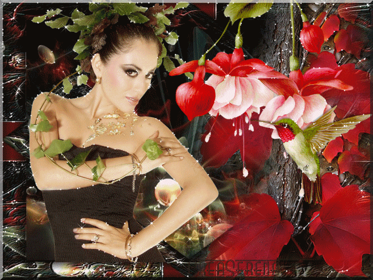 Image h�berg�e par Casimages.com : votre h�bergeur d images simple et gratuit
