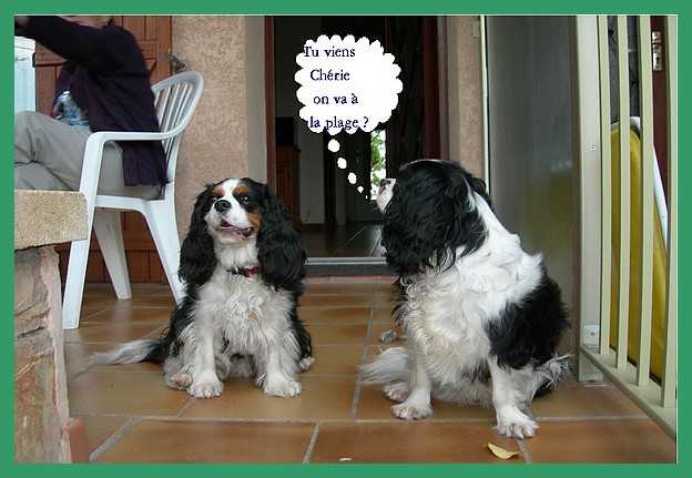 Image h�berg�e par Casimages.com : votre h�bergeur d images simple et gratuit