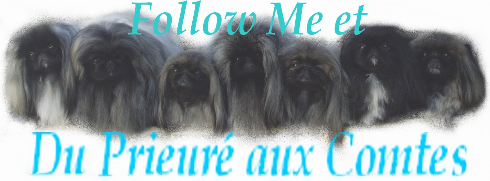 Image h�berg�e par Casimages.com : votre h�bergeur d images simple et gratuit