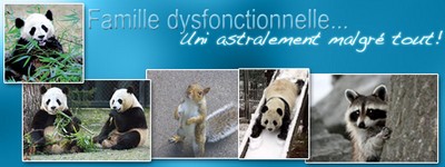 Création Ouf