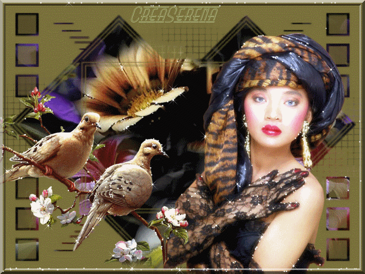 Image h�berg�e par Casimages.com : votre h�bergeur d images simple et gratuit