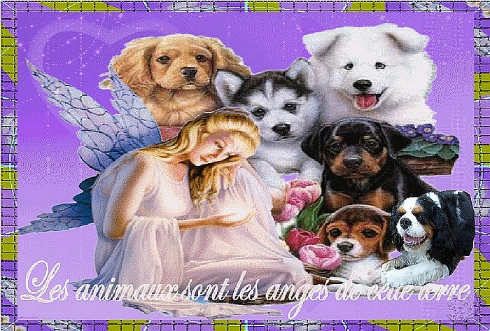 Image h�berg�e par Casimages.com : votre h�bergeur d images simple et gratuit