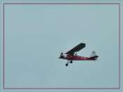 P1100649_Potez