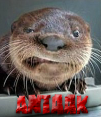 Avatar de l’utilisateur