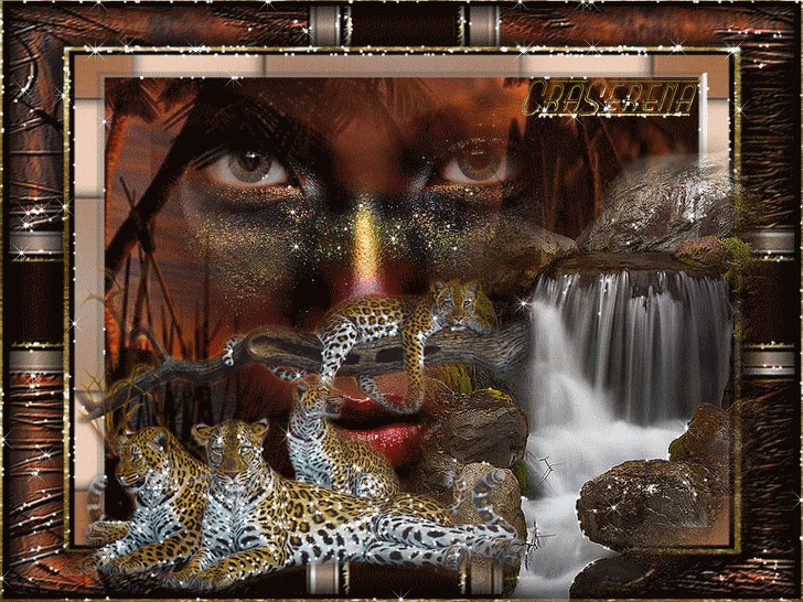 Image h�berg�e par Casimages.com : votre h�bergeur d images simple et gratuit