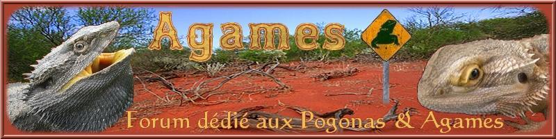 Agames