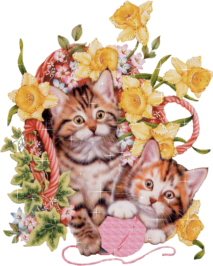 Image h�berg�e par Casimages.com : votre h�bergeur d images simple et gratuit