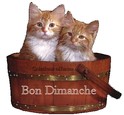 Image h�berg�e par Casimages.com : votre h�bergeur d images simple et gratuit