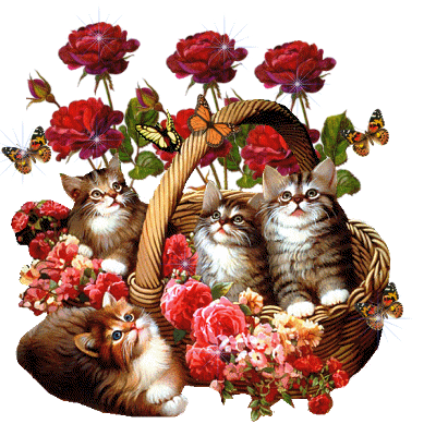 Image h�berg�e par Casimages.com : votre h�bergeur d images simple et gratuit