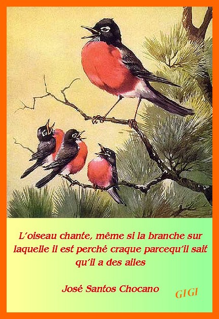 Image h�berg�e par Casimages.com : votre h�bergeur d images simple et gratuit