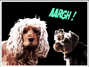 Image h�berg�e 
par Casimages.com : votre h�bergeur d images simple et gratuit