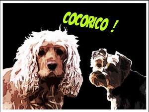 Image h�berg�e 
par Casimages.com : votre h�bergeur d images simple et gratuit