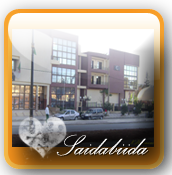 http://nsm03.casimages.com/img/2010/07/30//1007300644241126616490251.png