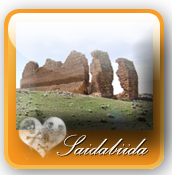 http://nsm03.casimages.com/img/2010/07/30//1007300649011126616490291.png