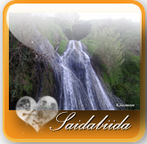 http://nsm03.casimages.com/img/2010/07/30//1007300649471126616490298.png