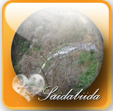 http://nsm03.casimages.com/img/2010/07/30//1007300653281126616490318.png