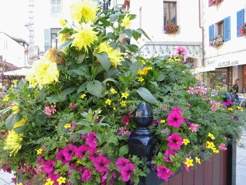 Image hébergée par Casimages.com : votre hébergeur d images simple et gratuit