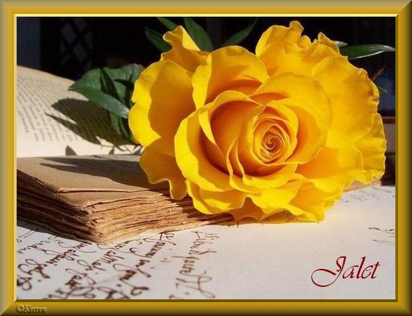 Image h�berg�e par Casimages.com : votre h�bergeur d images simple et gratuit