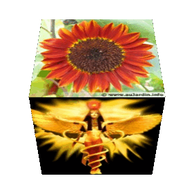 Image hébergée par Casimages.com : votre hébergeur d images simple et gratuit