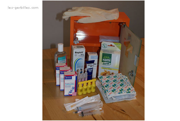 Generic cialis paypal