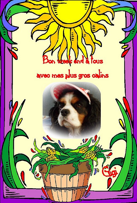 Image h�berg�e par Casimages.com : votre h�bergeur d images simple et gratuit