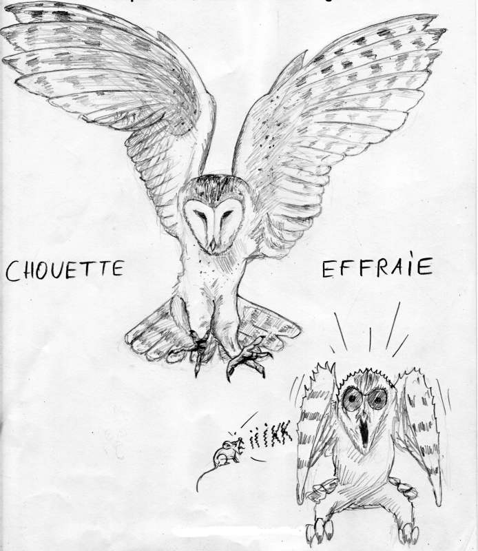 Image hébergée par Casimages.com : votre hébergeur d images simple et gratuit