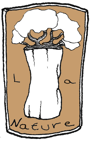 http://nsm03.casimages.com/img/2010/08/05/1008051217041140876518601.png
