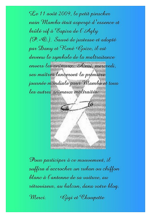 Image h�berg�e par Casimages.com : votre h�bergeur d images simple et gratuit