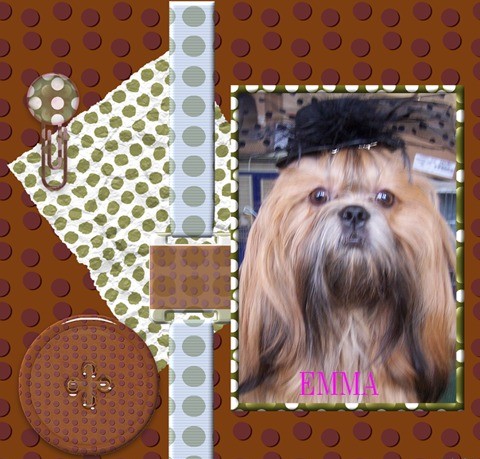 Image h�berg�e par Casimages.com : votre h�bergeur d images simple et gratuit