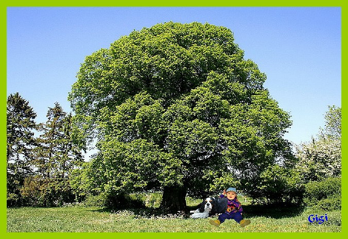 Image h�berg�e par Casimages.com : votre h�bergeur d images simple et gratuit