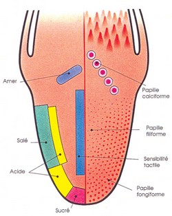 http://nsm03.casimages.com/img/2010/08/13//1008130956581007846555890.jpg