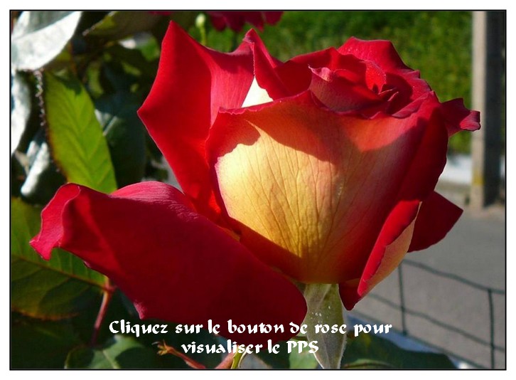 Image h�berg�e par Casimages.com : votre h�bergeur d images simple et gratuit