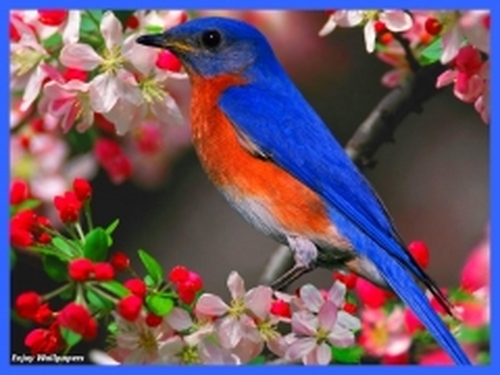 Image h�berg�e par Casimages.com : votre h�bergeur d images simple et gratuit